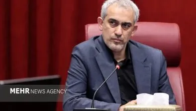 مدنی‌زاده: صنعت بیمه باید در بازسازی و نوسازی اقتصاد پیشر...