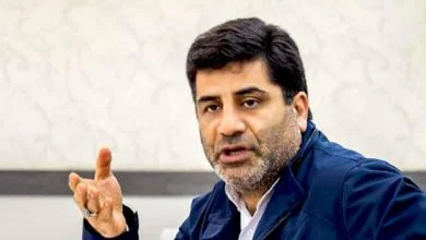 معاون وزیر جهاد: مصرف گندم در دامداری‌ها شدت گرفت
