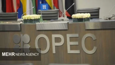 برگزاری هفتمین نشست گفتگوی انرژی اوپک و هند