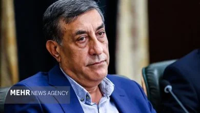 قائم‌پناه: پرمصرف‌ها نباید سهم بیشتری از یارانه انرژی ببرند